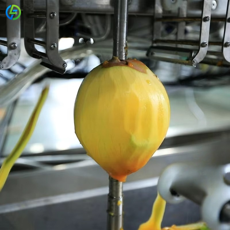 Customized Automatic 16 Heads  - Ice Cream Pasteurizer Machine review and price